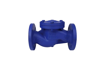 Обратный клапан чугун подъемный Ду 50 фл Ру 16 Benarmo (019-2463)