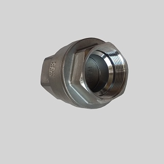 Обратный клапан нерж.Ду25 Ру40 Benarmo SF8M (019-2767)