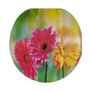 Сиденье для унитаза МЯГКОЕ с рис. "Бабочки на цветах" В12 (466254)